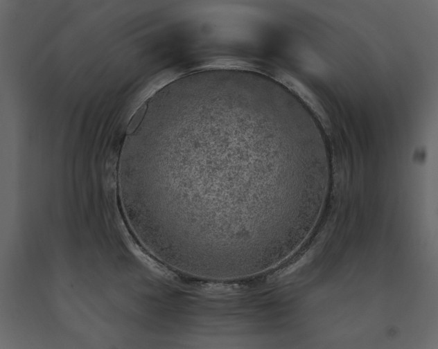 X0000091551049200708241751
