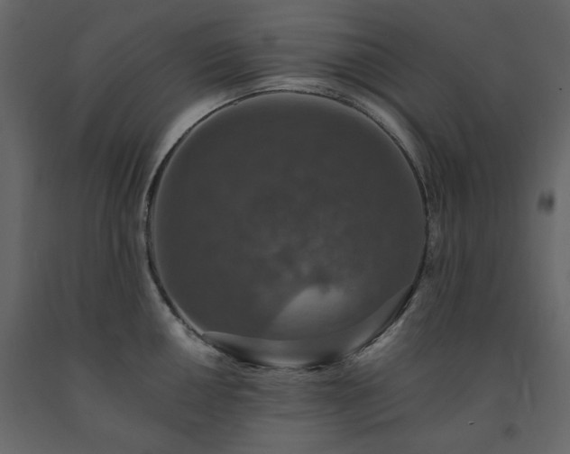X0000091551050200708241751