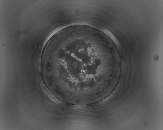 X0000091551052200708241751