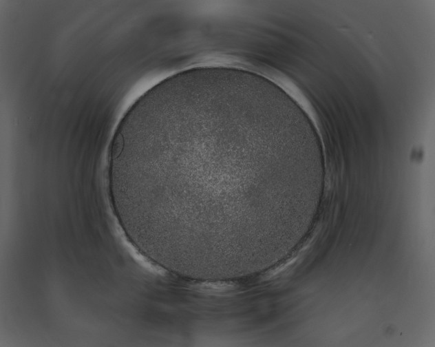 X0000091551053200708241751