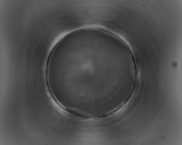 X0000091551054200708241751