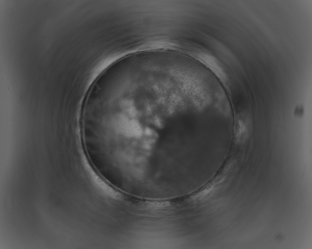 X0000091551055200708241751