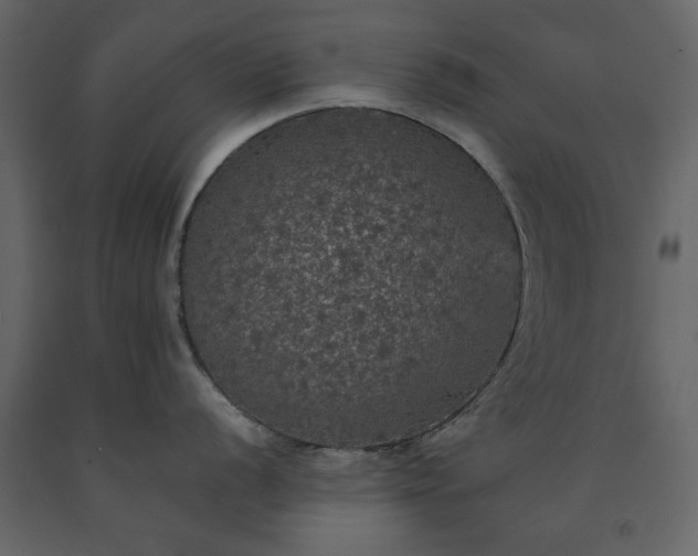 X0000091551056200708241751