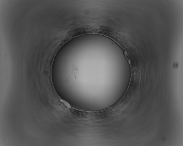 X0000091551057200708241750