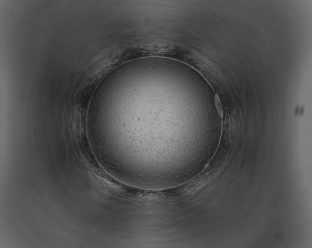 X0000091551058200708241750