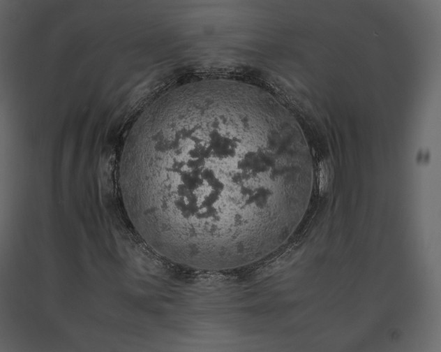 X0000091551059200708241750