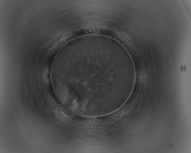 X0000091551060200708241750