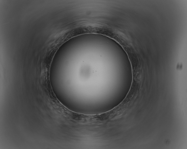 X0000091551061200708241750