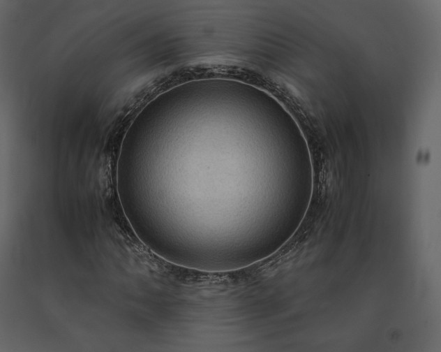 X0000091551062200708241750