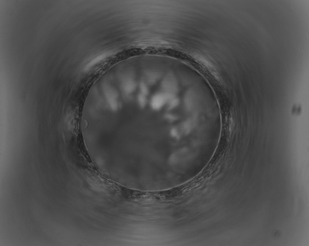 X0000091551063200708241750