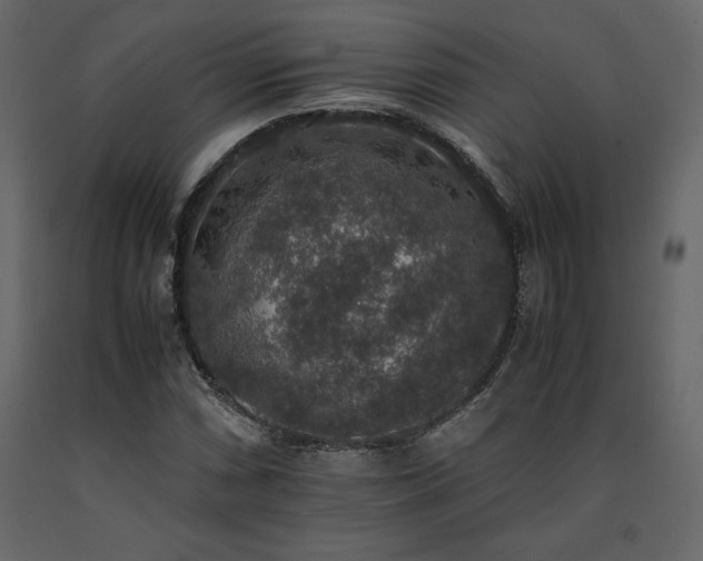 X0000091551066200708241750