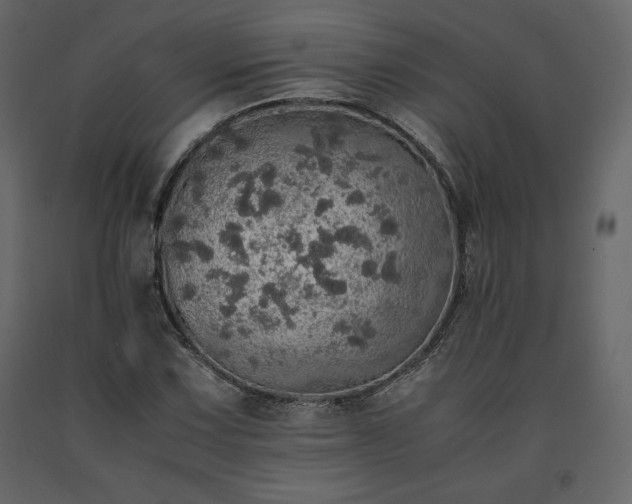 X0000091551067200708241750
