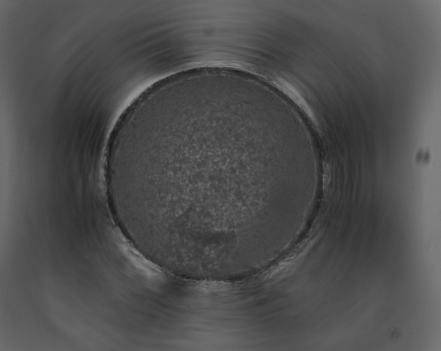 X0000091551068200708241750