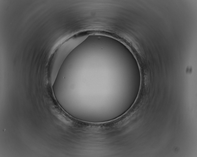 X0000091551069200708241750