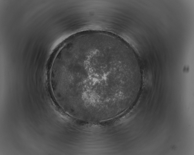 X0000091551070200708241750