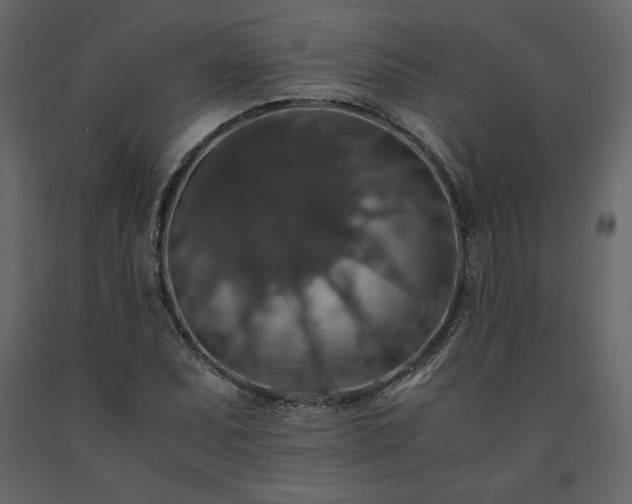 X0000091551071200708241750