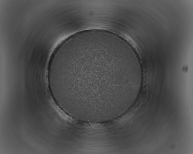 X0000091551072200708241750