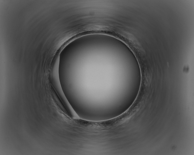 X0000091551073200708241750