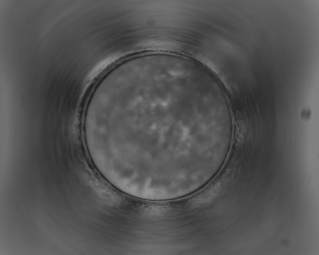 X0000091551074200708241750