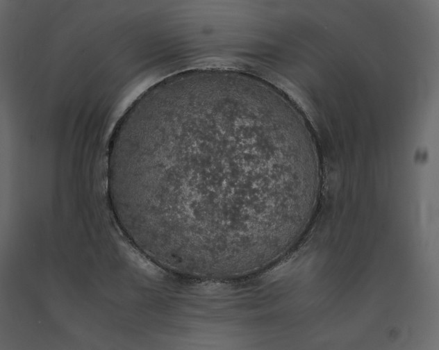 X0000091551075200708241750