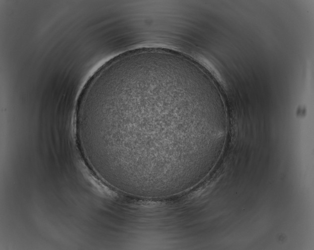 X0000091551076200708241750