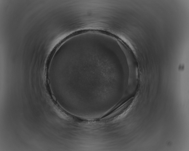 X0000091551077200708241750