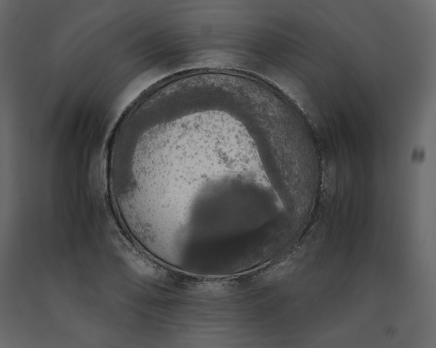 X0000091551078200708241750