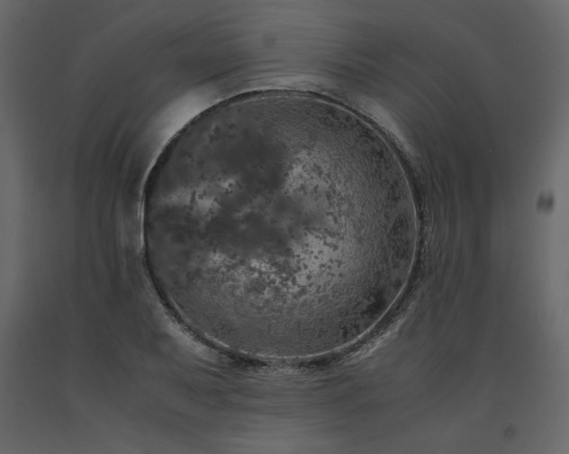 X0000091551079200708241750