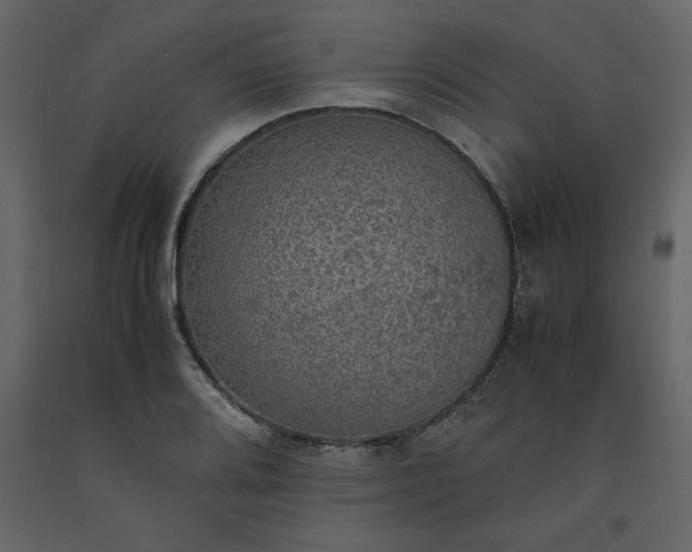 X0000091551080200708241750