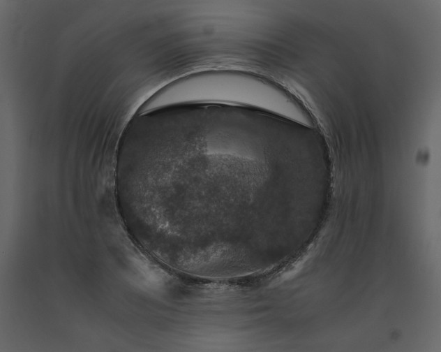 X0000091551081200708241750