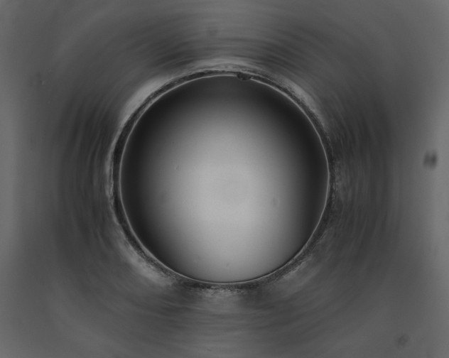 X0000091551082200708241750