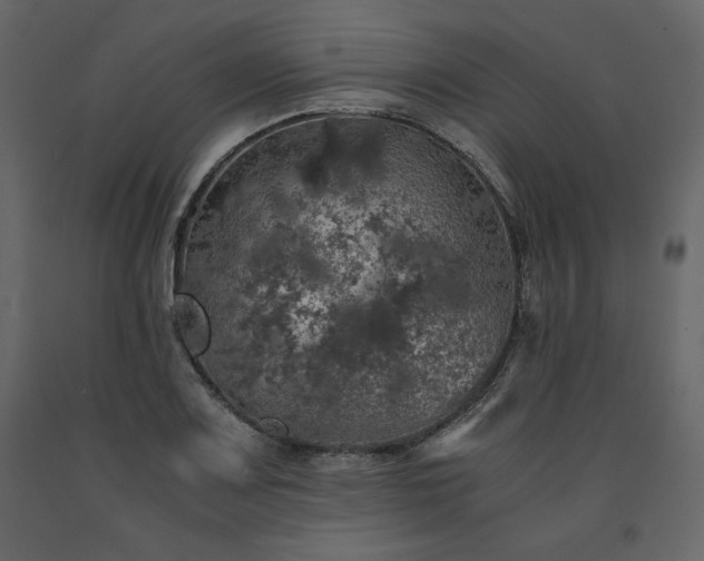 X0000091551083200708241750