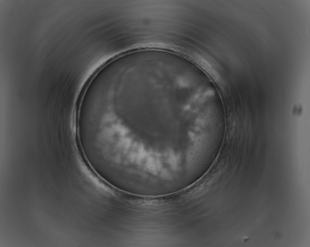 X0000091551084200708241750