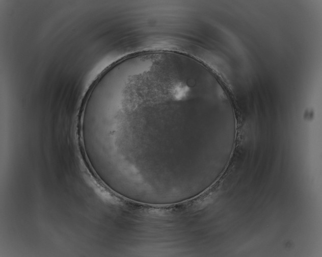 X0000091551086200708241750