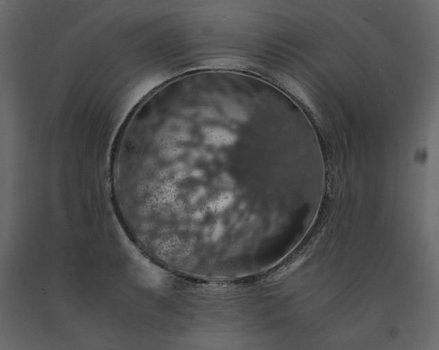 X0000091551087200708241750