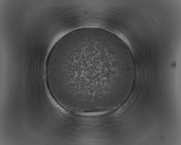 X0000091551088200708241750