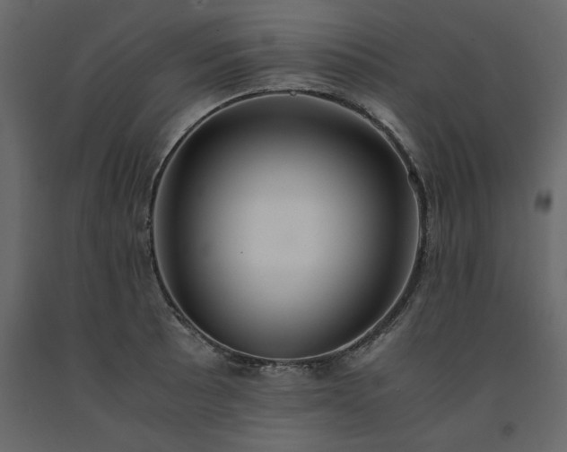 X0000091551089200708241750