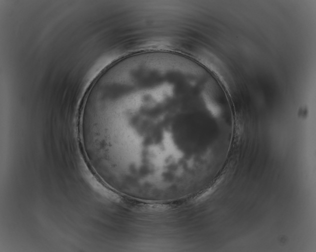 X0000091551090200708241750