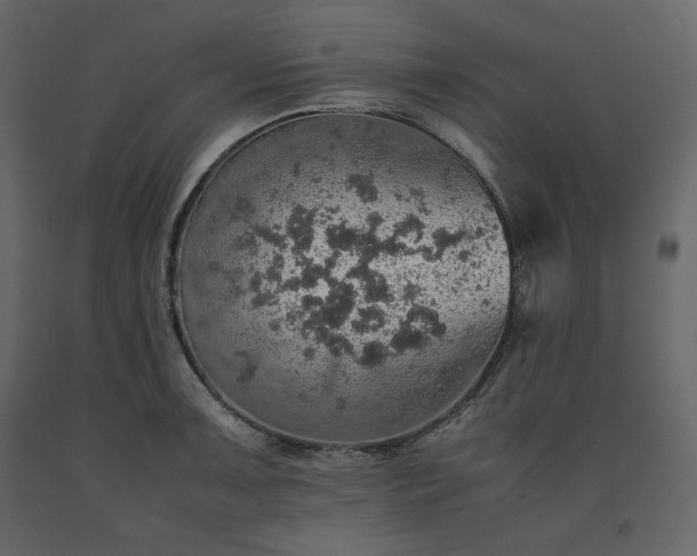 X0000091551091200708241750
