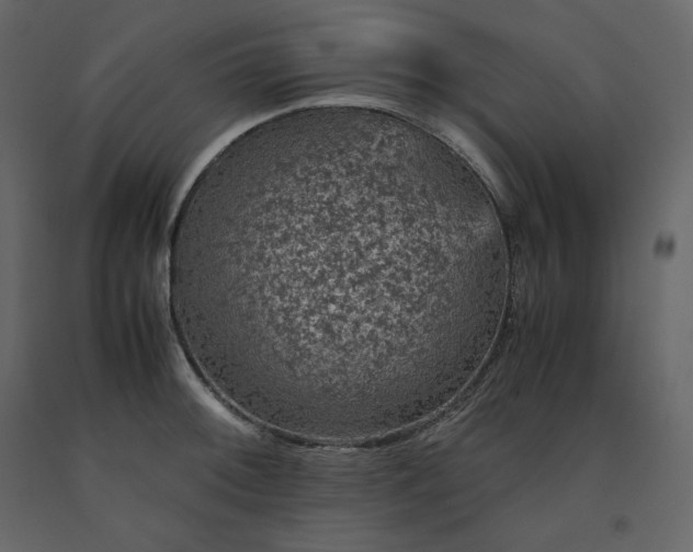 X0000091551092200708241750