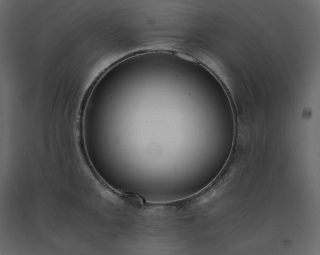 X0000091551093200708241750