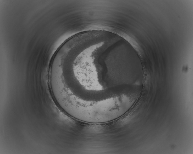 X0000091551094200708241750
