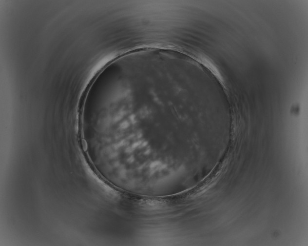 X0000091551095200708241750