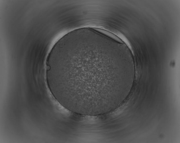 X0000091551096200708241749
