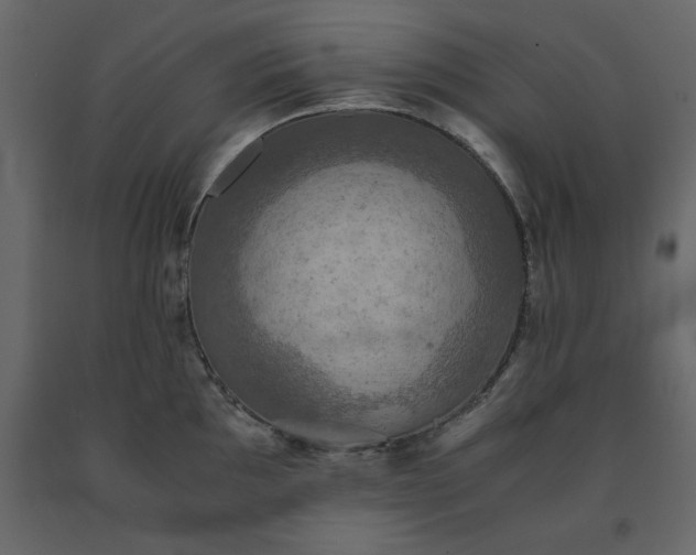 X0000091551097200708241749