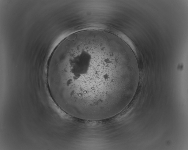 X0000091551099200708241749