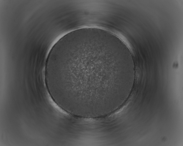 X0000091551100200708241749
