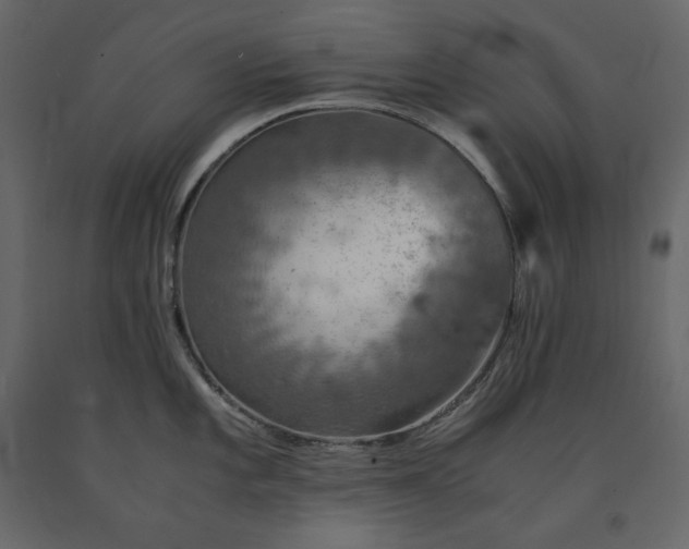 X0000091551101200708241749