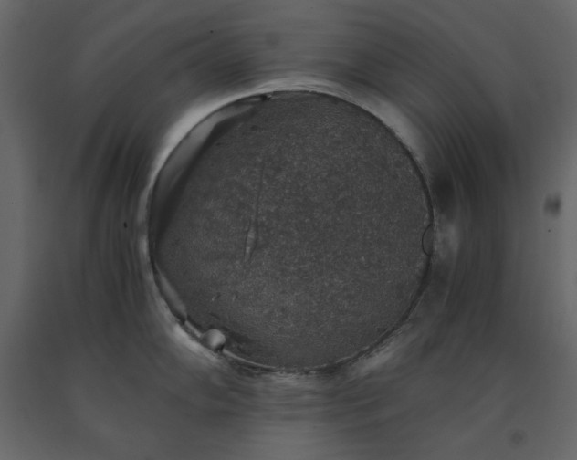 X0000091551102200708241749
