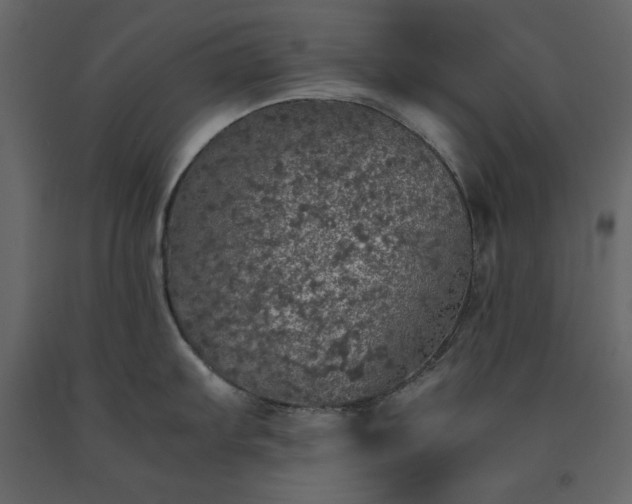 X0000091551103200708241749